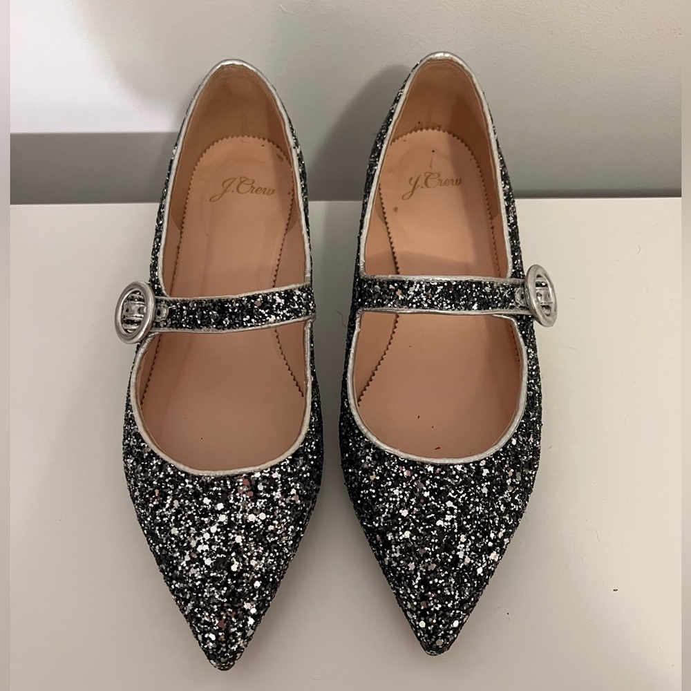 J.Crew Pointed Toe Ballet Flats with Sequins (Size 7.5 Women’s)